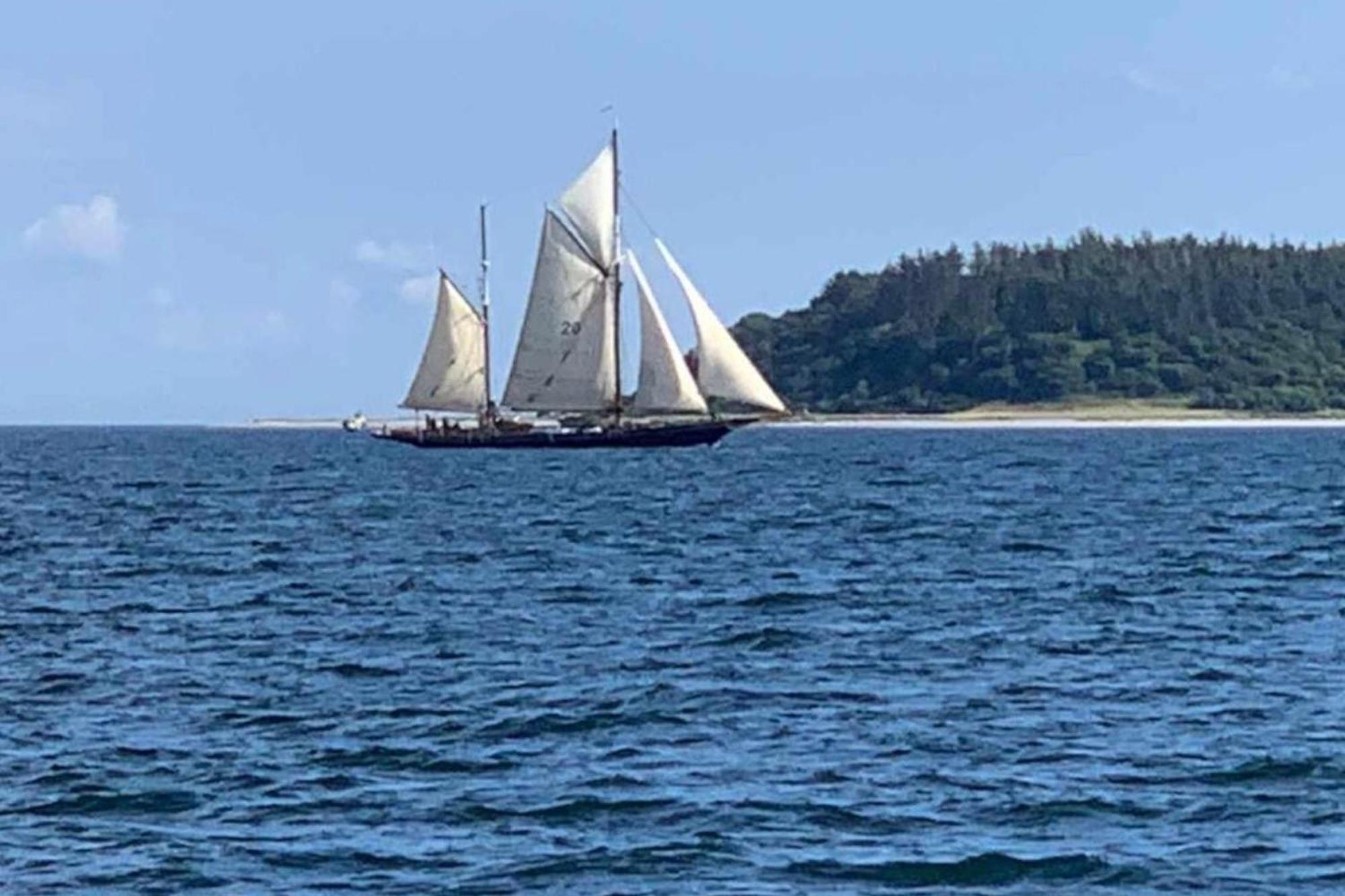 Ostsee, Wunderschoene Wohnung Mit Meerblick Harrislee Buitenkant foto