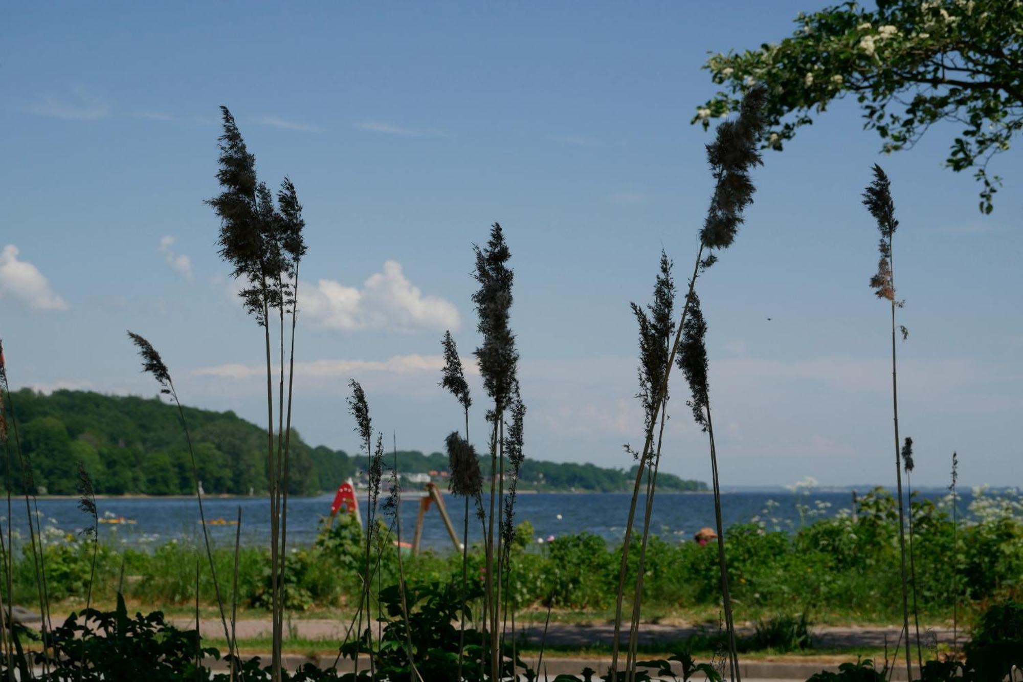 Ostsee, Wunderschoene Wohnung Mit Meerblick Harrislee Buitenkant foto